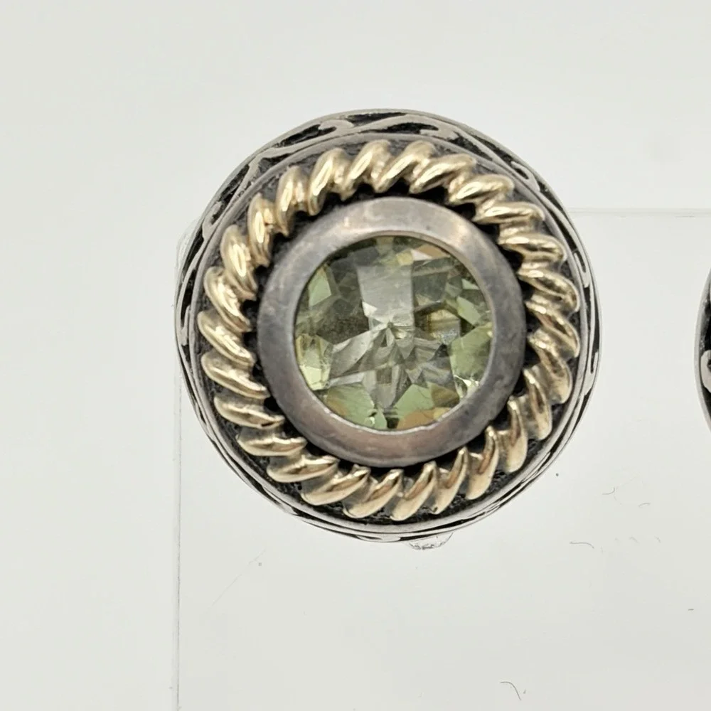 Arts Elegance AE Sterling Silver 14k Yellow‎ Gold/925 Pierced Earrings